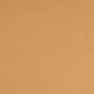 Ein einfarbiger Stoff in Beige mit einer glatten Textur, geeignet für verschiedene Nähprojekte und Handarbeiten.